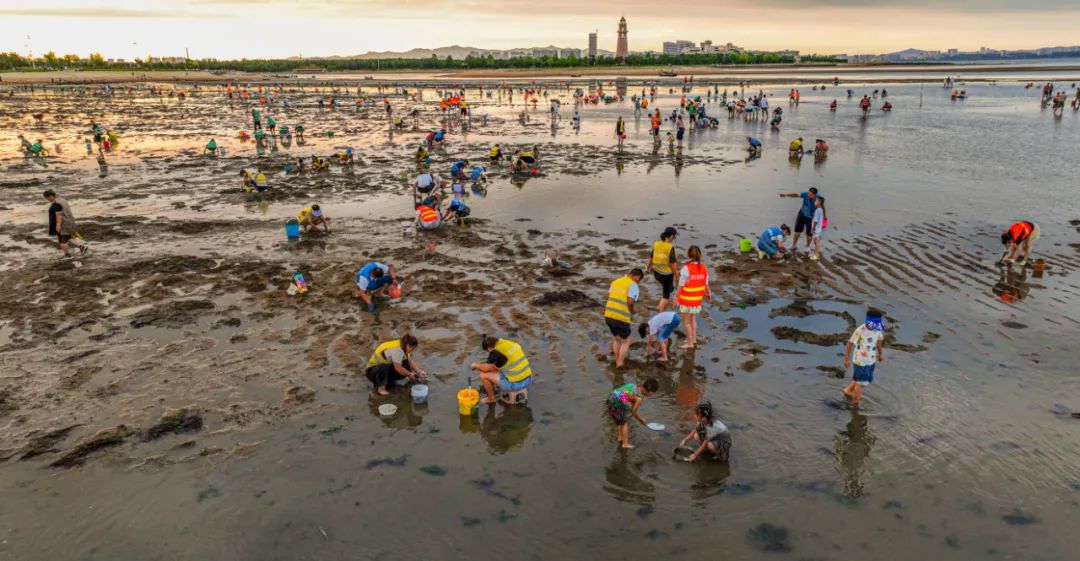 房车海边自驾游推荐,荣成房车游攻略