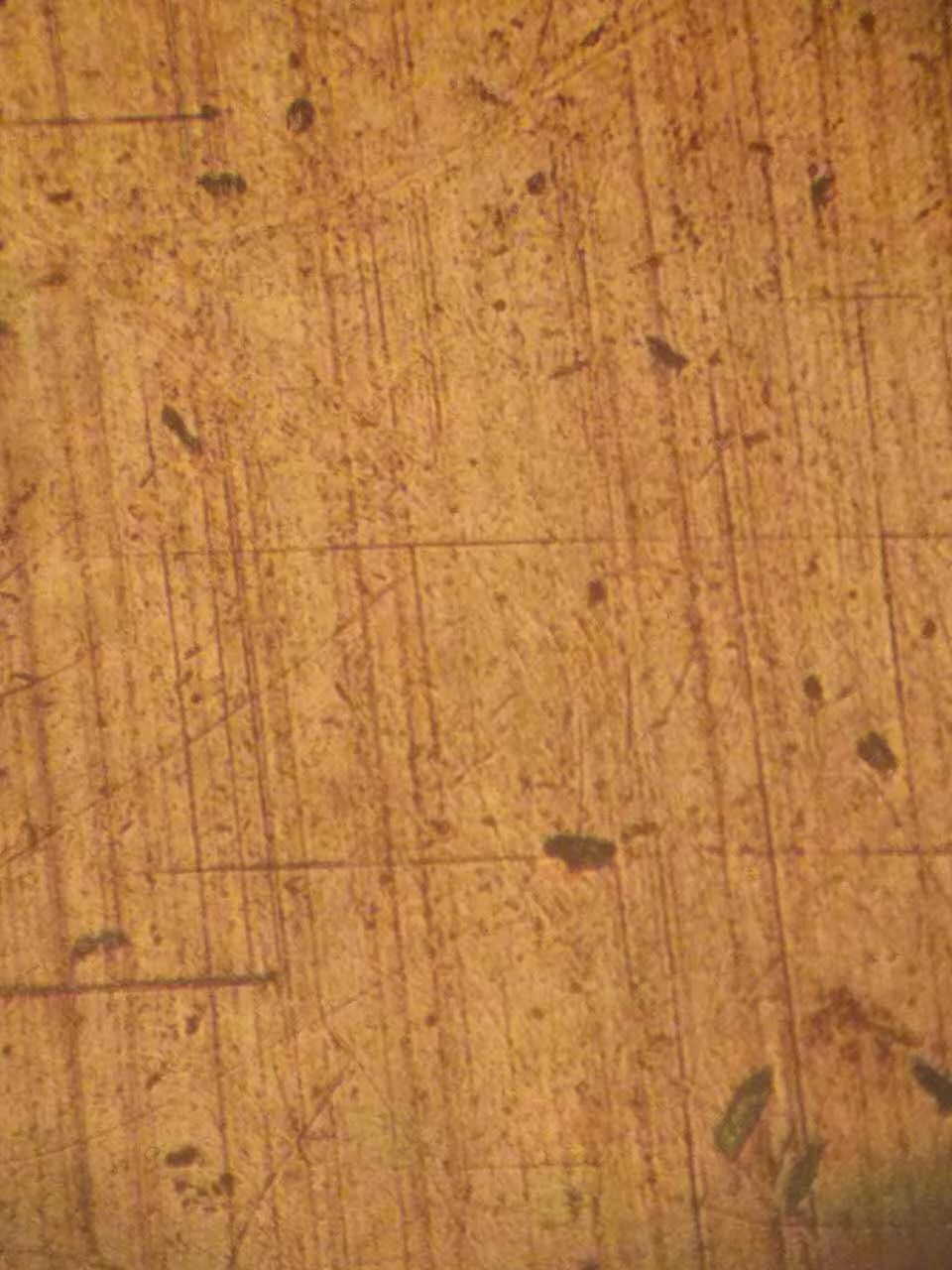 春天来了需要换机油吗,现在的车子还用更换冬夏机油吗