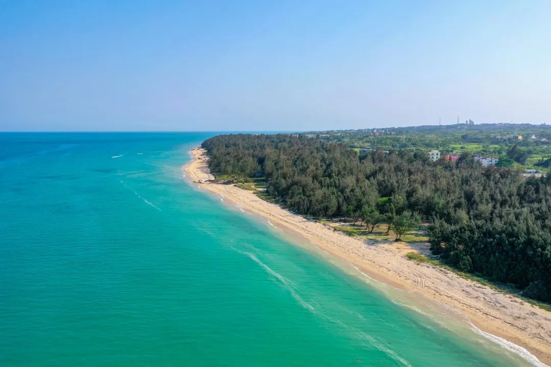 这座岛究竟有何神奇之处,怎么玩海陵岛不踩坑