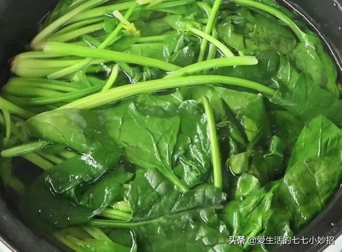 爱吃菠菜的好处,吃菠菜不能和什么同吃