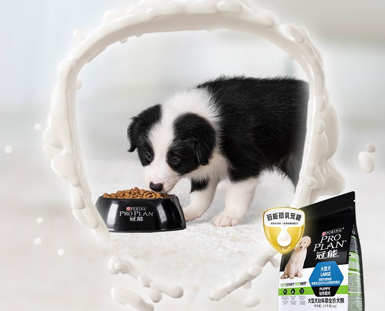 幼犬狗粮排行榜前十名测试,幼犬狗粮推荐性价比排行榜