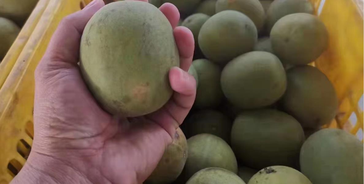 小型鸡粪烘干设备价格表,烘干鸡粪多少钱一吨批发