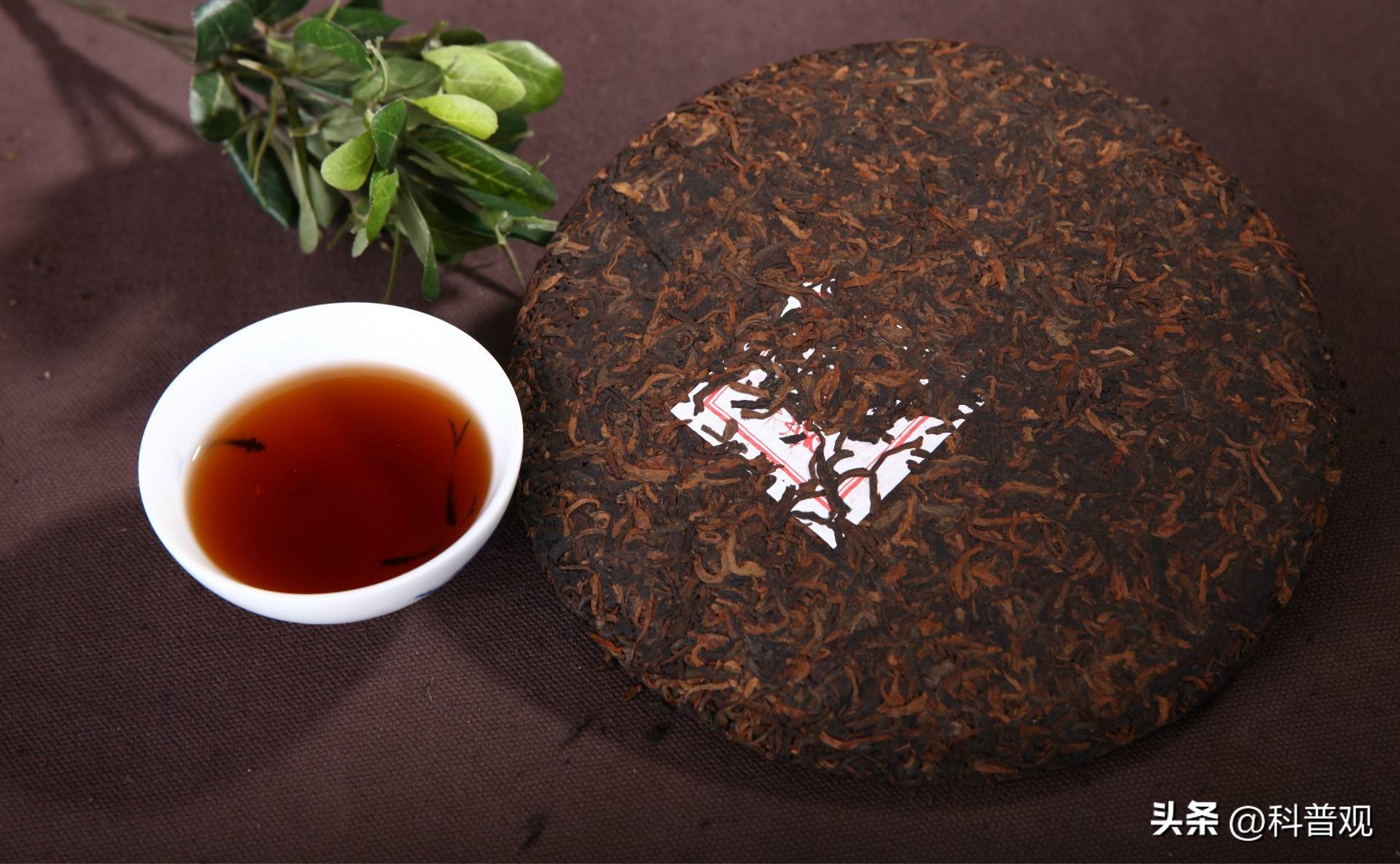 1克熟茶,十五年普洱熟茶还能喝吗