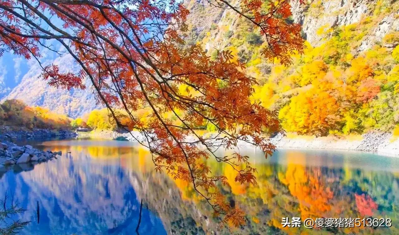 冬日人生感慨十二首,冬日感言七绝诗