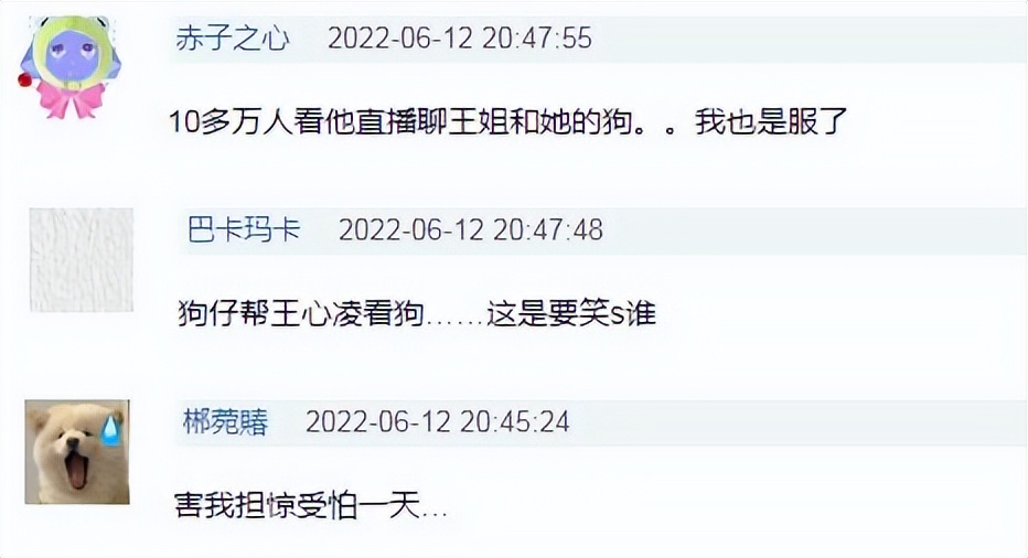 台湾第一狗仔,王心凌和狗仔