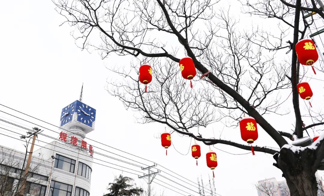 一下雪扬州就美成了广陵,一下雪新疆就美成童话世界