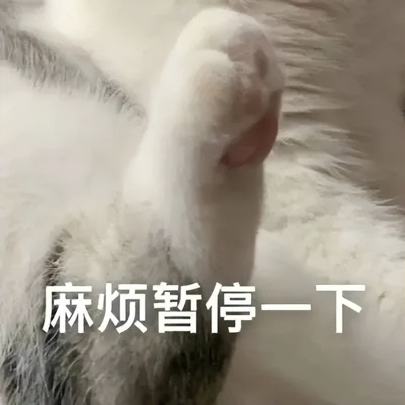 自从买了这个手机壳，我就经常找不到手机了