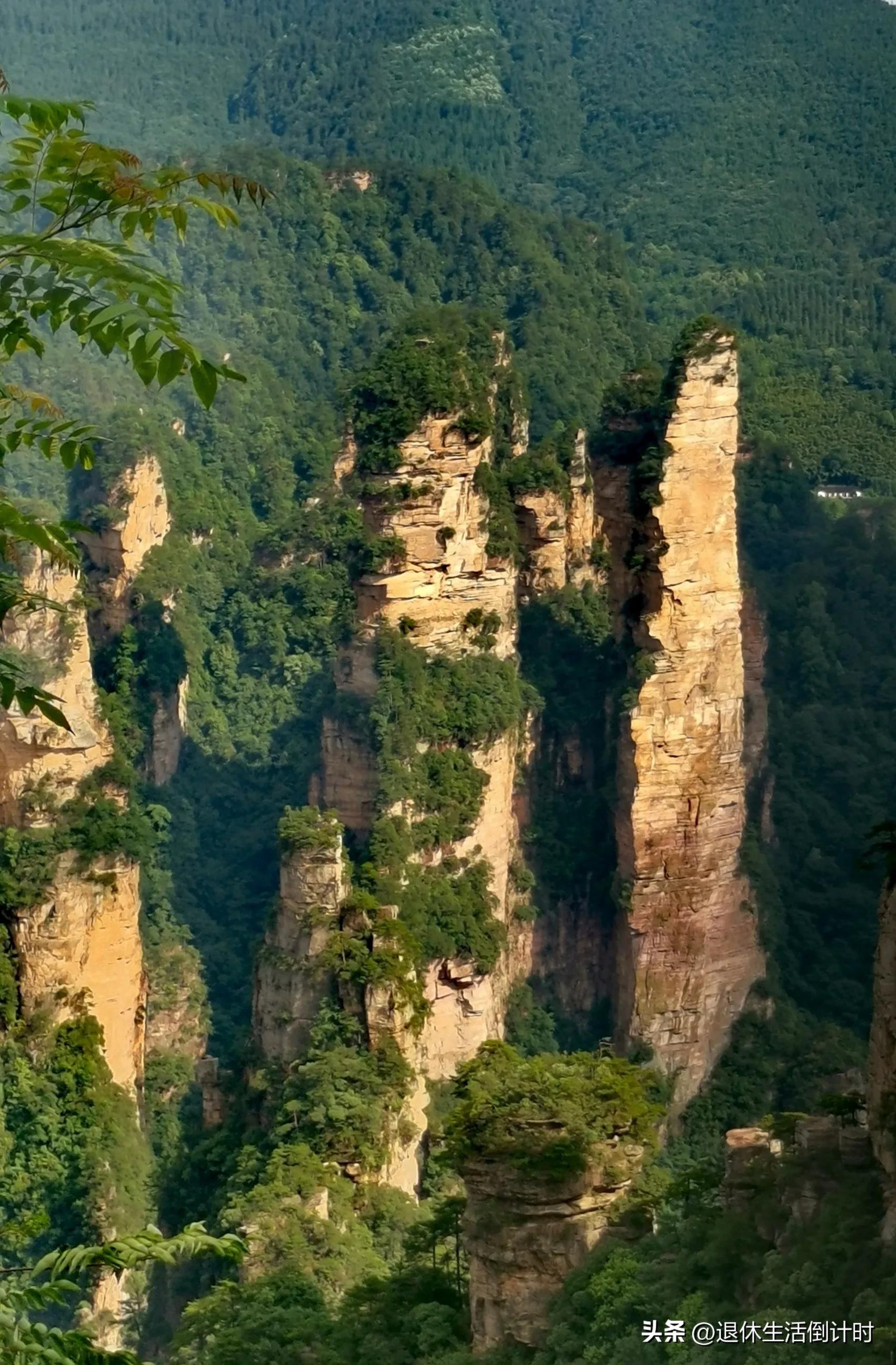 张家界旅游如何避免踩坑,张家界旅游购物坑