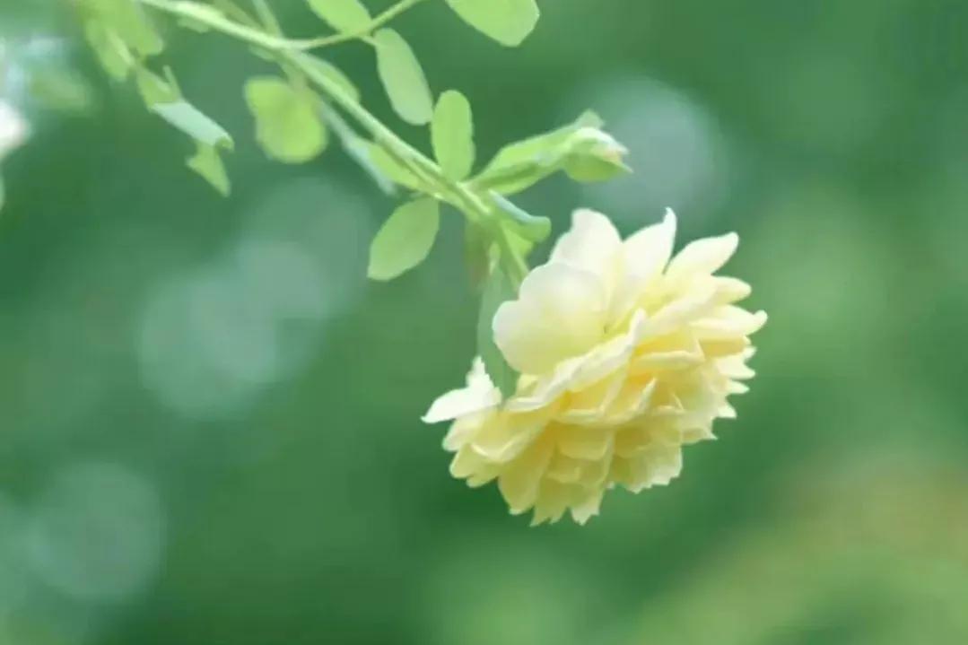 初次与客户见面第一印象特别重要,为什么第一印象十分重要