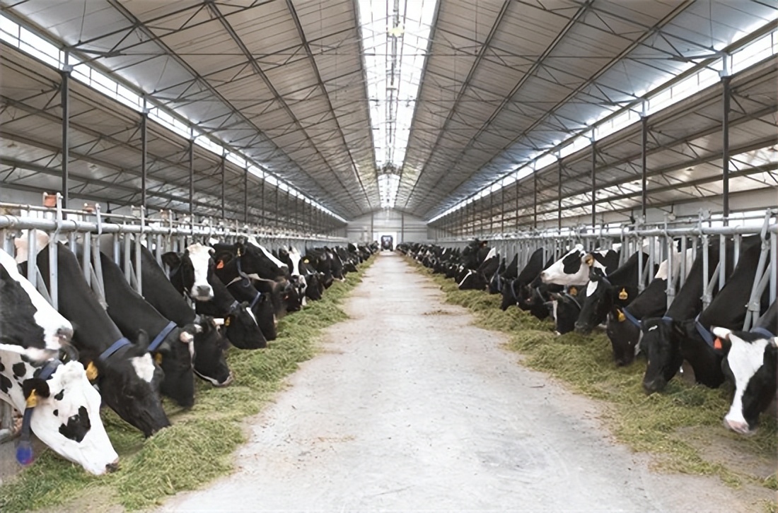 一家企业的发展历程：72载传承辽宁越秀辉山坚守品质初心