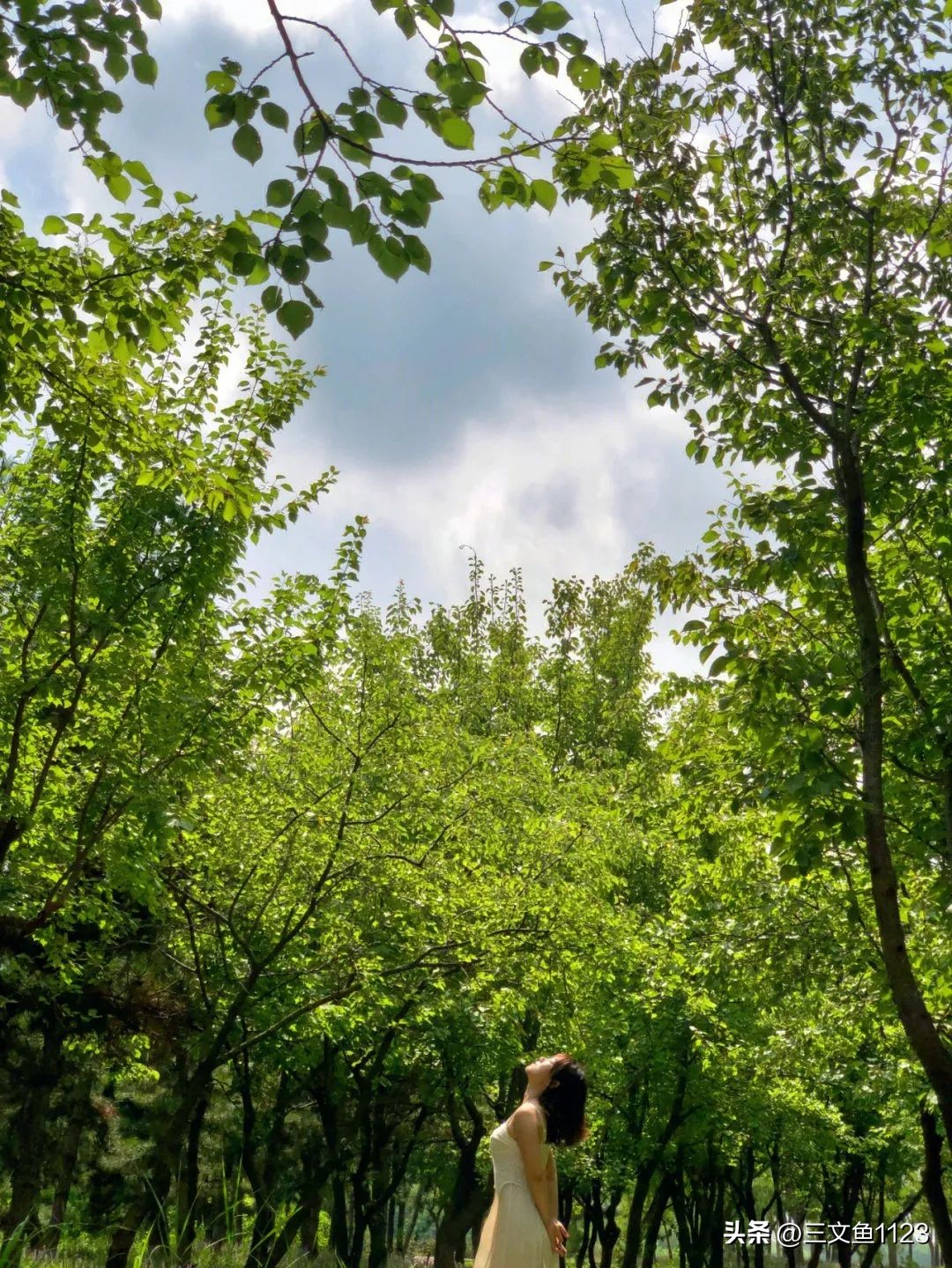 新冠疫情超过三年了吗,新冠肆虐这两年还有人得流感么