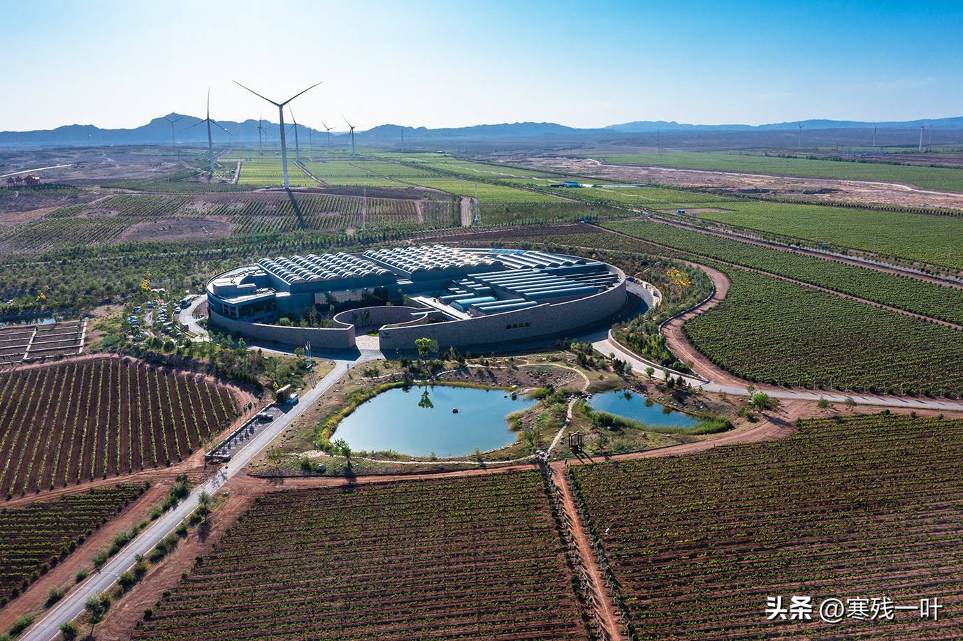 宁夏酒庄旅游景点大全,花6亿打造葡萄酒