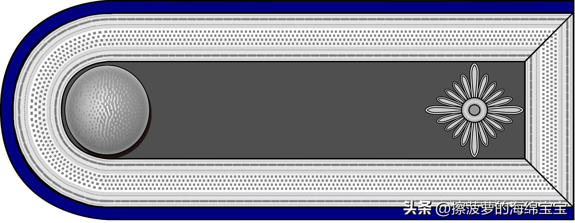 二战德国国防军医疗兵军衔标志