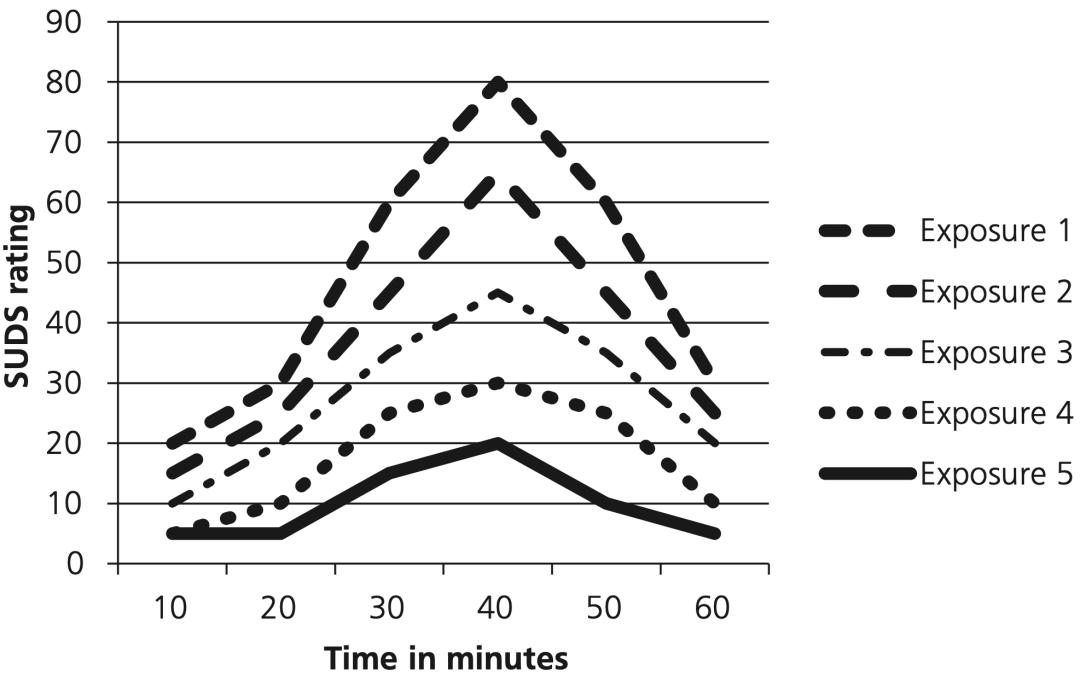 暴露与反应阻断疗法有哪几步,暴露与反应预防疗法