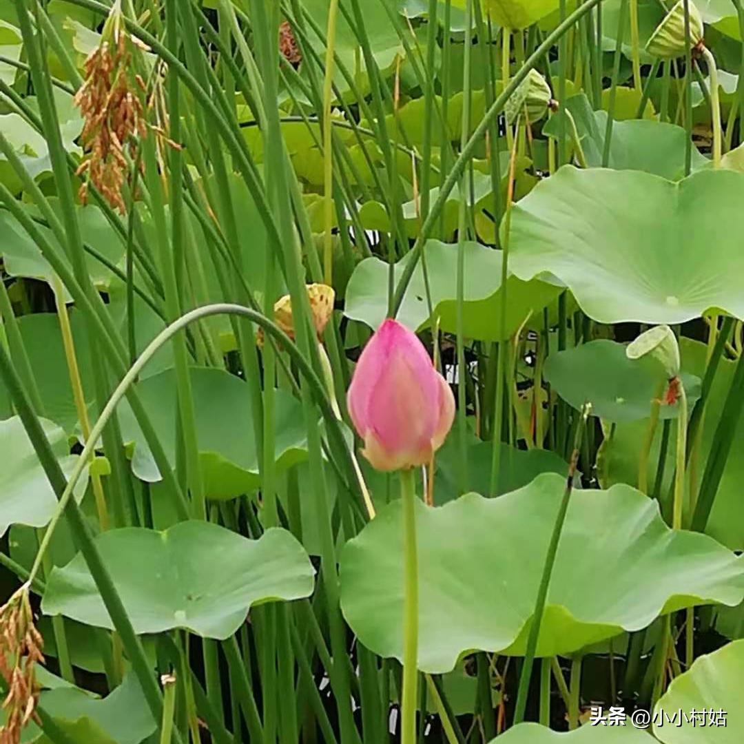 我和心理学的美好相遇演讲,我与心理咨询师的交流