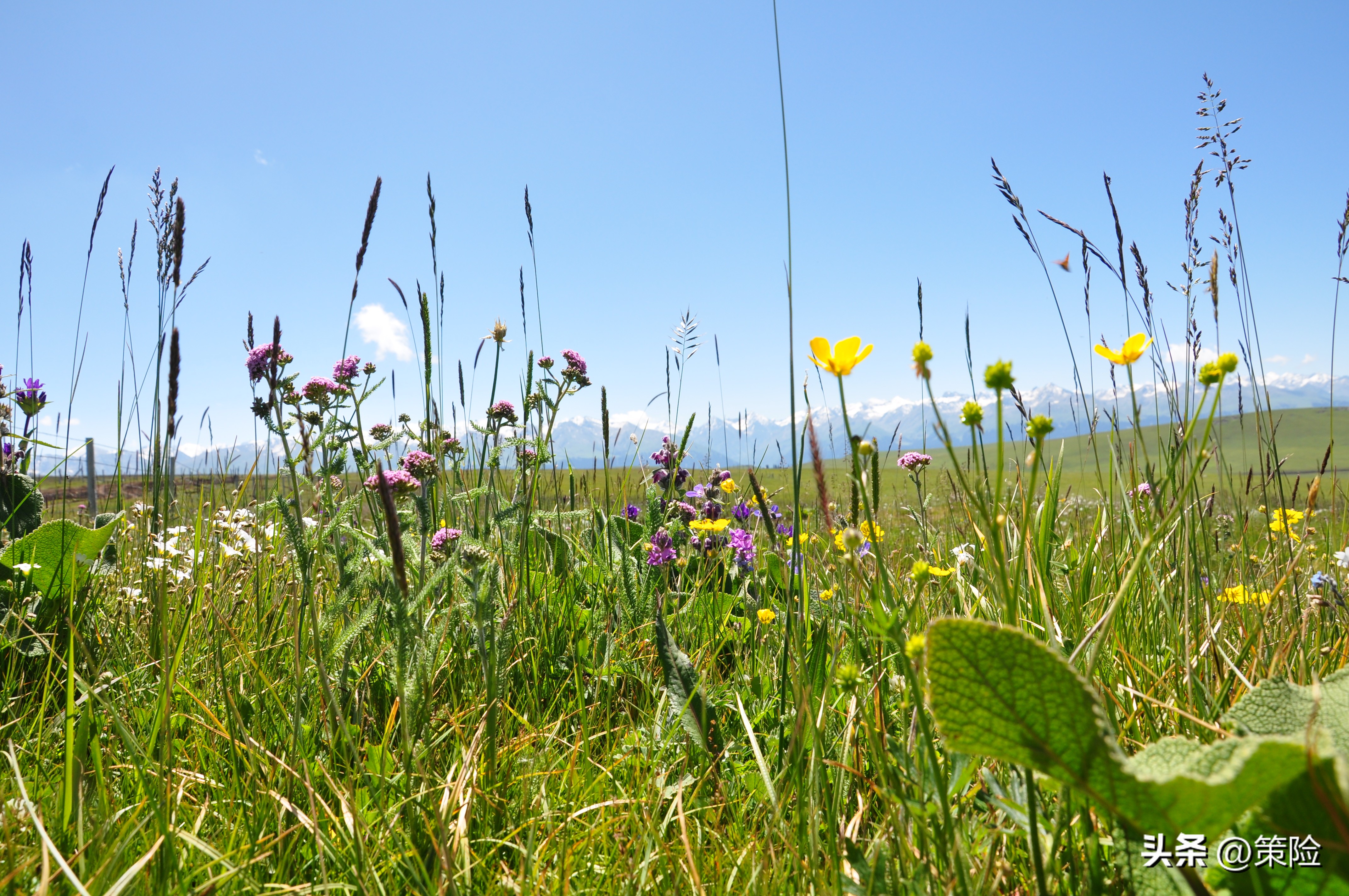 上海印象1983,上海印象1994五角场