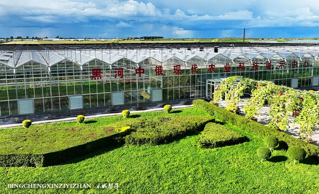 中俄边境线上的小城：逊克，披着“红珠绿边银装”的生态边城