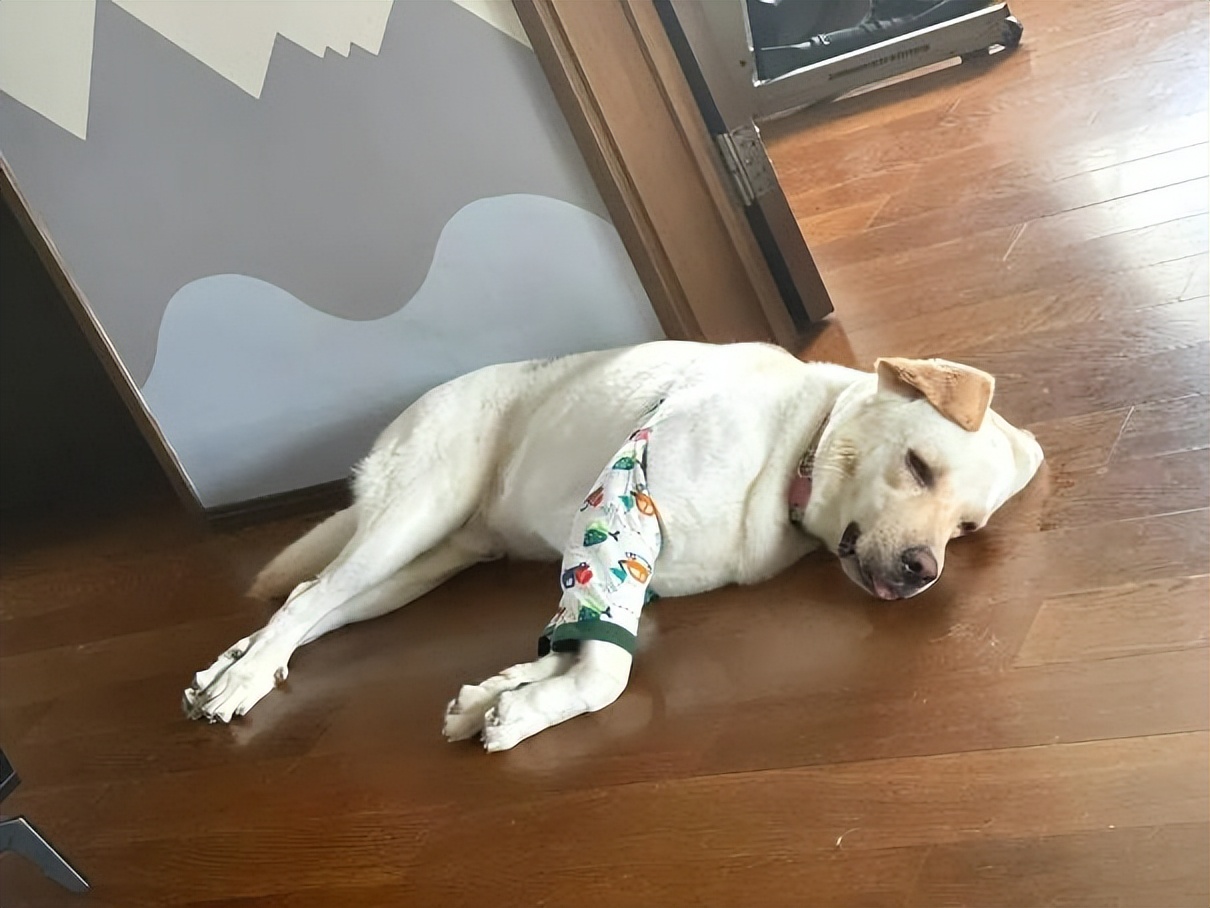 为什么我建议你买中央空调？只有真正体验过，才知道有多“爽”