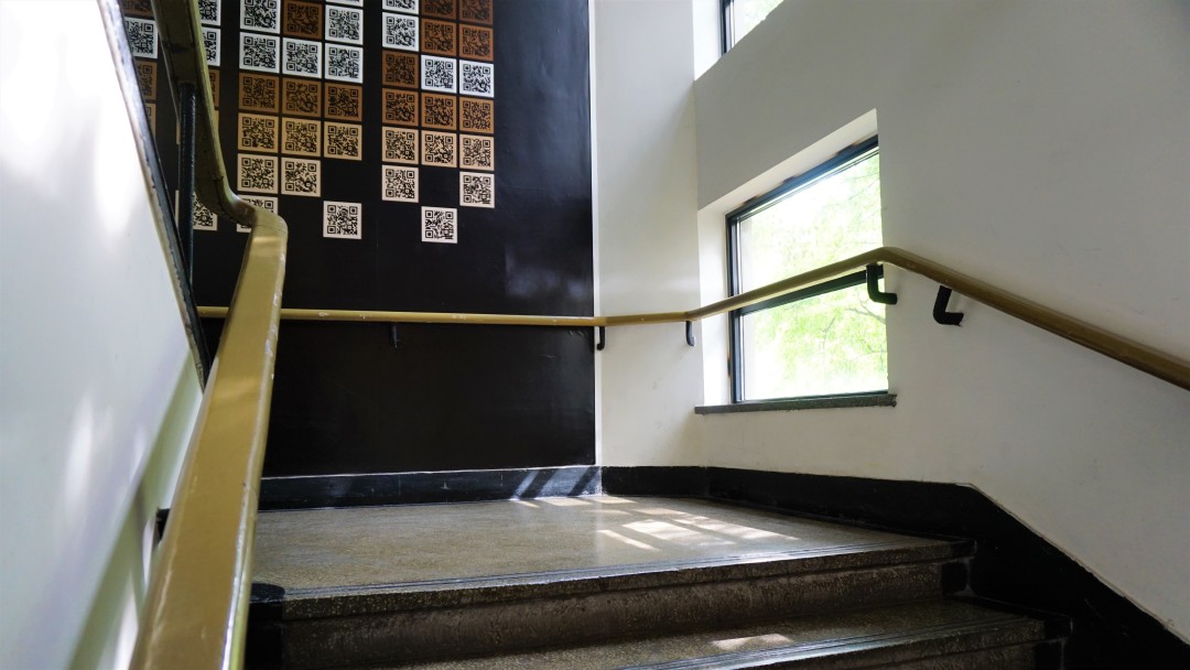 同济大学有多漂亮,同济大学的浪漫