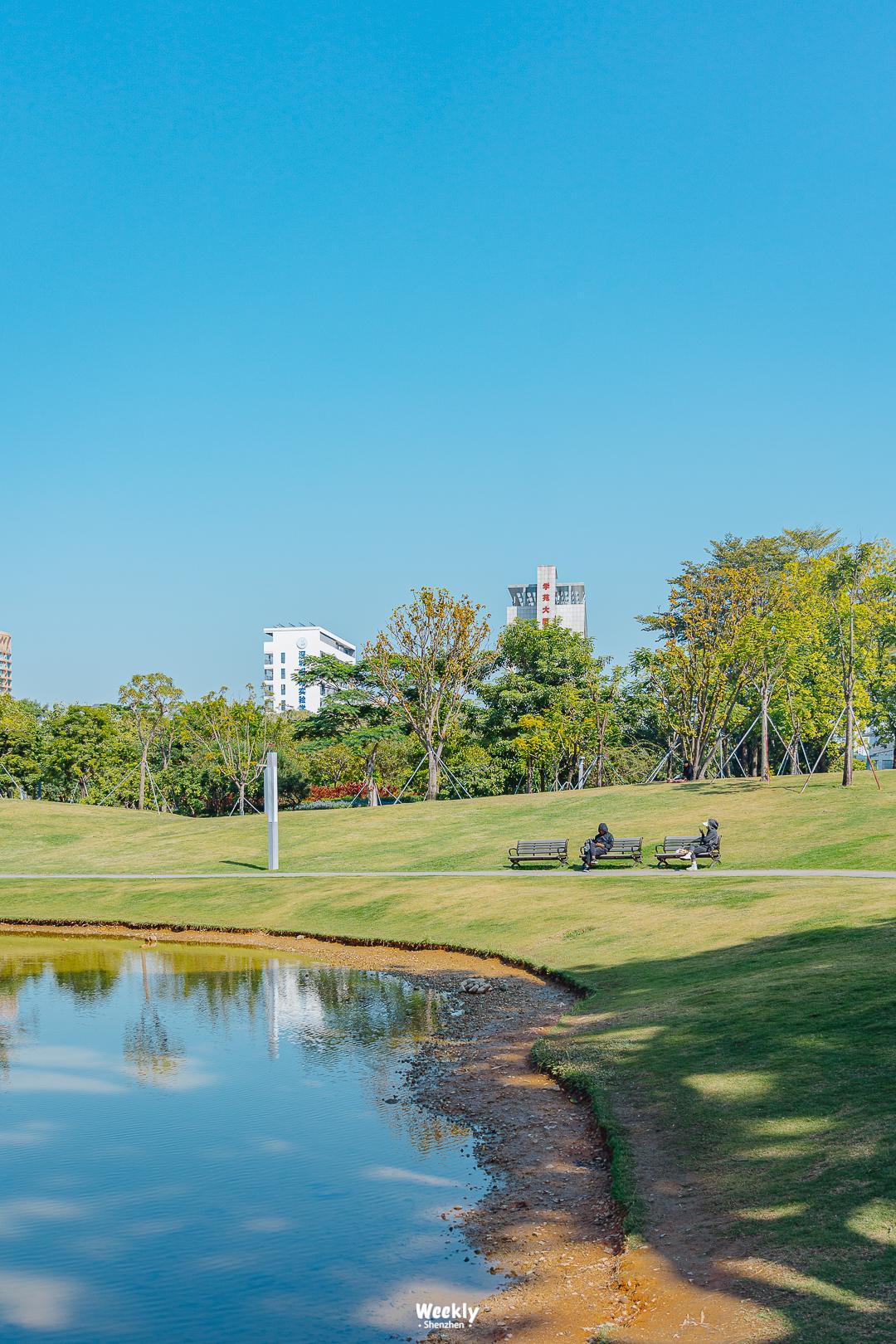 真羡慕那些住高档小区的人,真羡慕住在海边的人