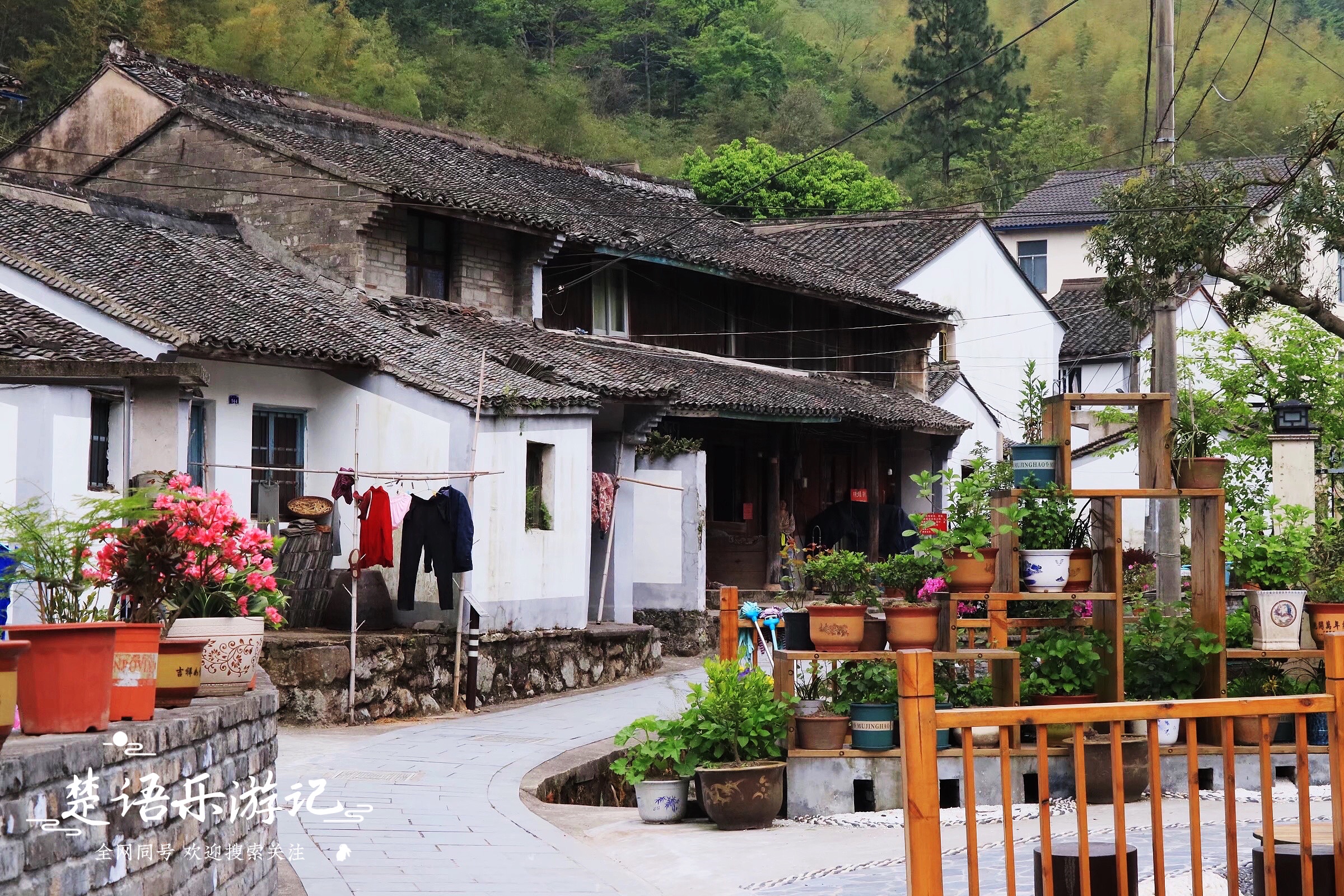 宁波东钱湖古村网红打卡地,宁波东钱湖湿地秘境