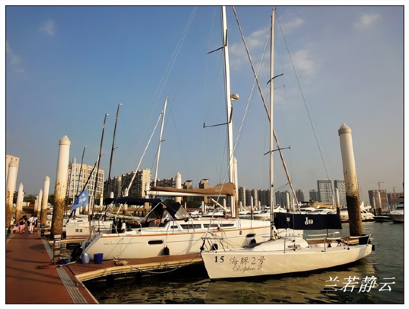 厦门帆船出海收费标准价格 (厦门慢生活租一艘帆船出海去)