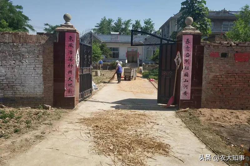 土地承包200亩农民该得到多少,土地转包给别人小麦补贴款给谁