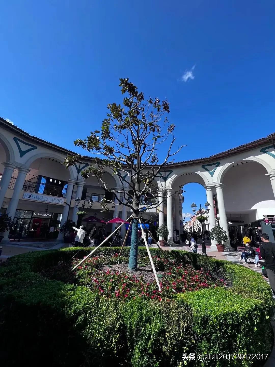 佛罗伦萨小镇上海奇幻森林,逛佛罗伦萨