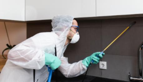 杀蟑螂最有效的杀虫剂,蟑螂防治最有效的处理方法是