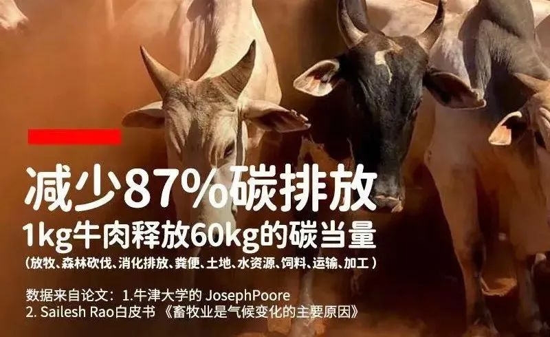 你不知道的英国女王：一位硬核环保主义者