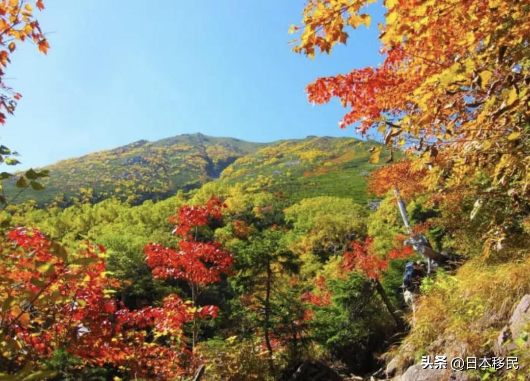 2023日本人红日子大盘点，中国网友：居然有这么多假期！羡慕了