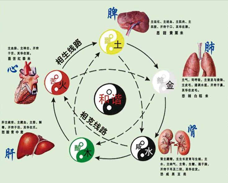 人为什么35岁开始断崖式衰老,人过五十会断崖式衰老