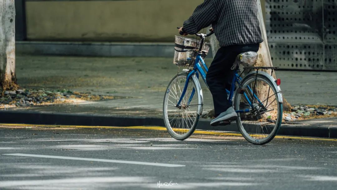 梧桐絮和石楠花,极限二选一