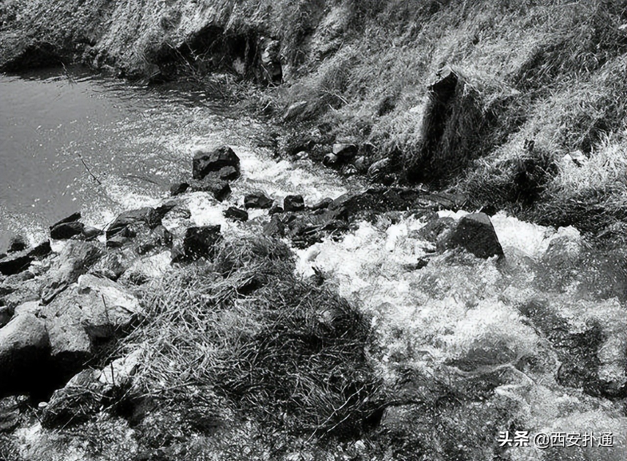 西安最大花海公园,西安周边的自然景观公园