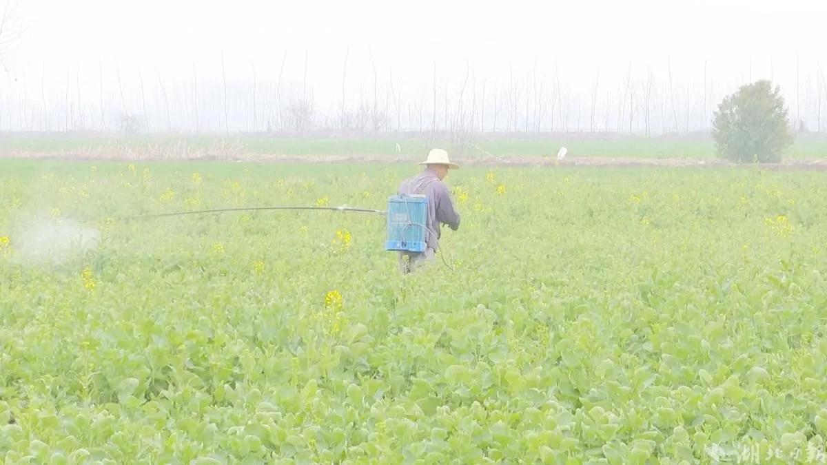 汉川中洲农场地址,汉川中洲农场名单