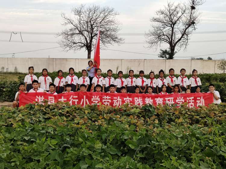 劳动实践促成长心得,劳动助成长实践促发展记录表