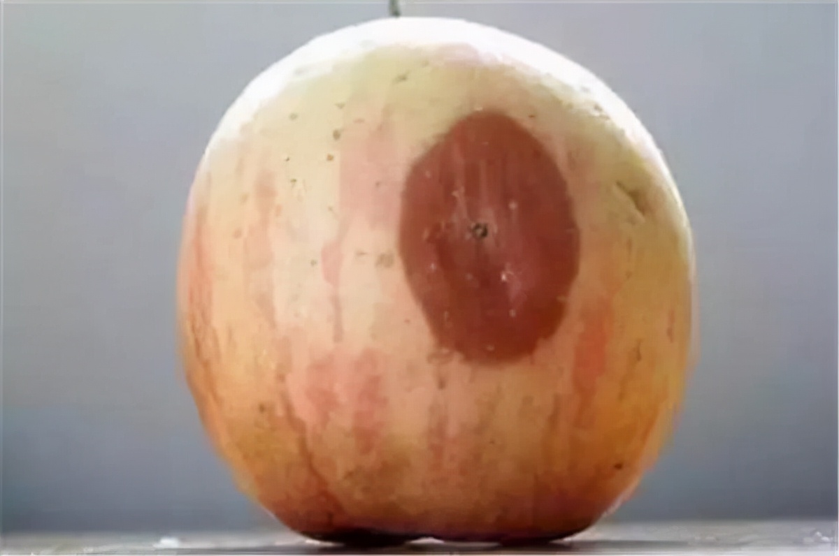 经常吃南瓜对肝有什么影响吗,养肝护肝的食物南瓜