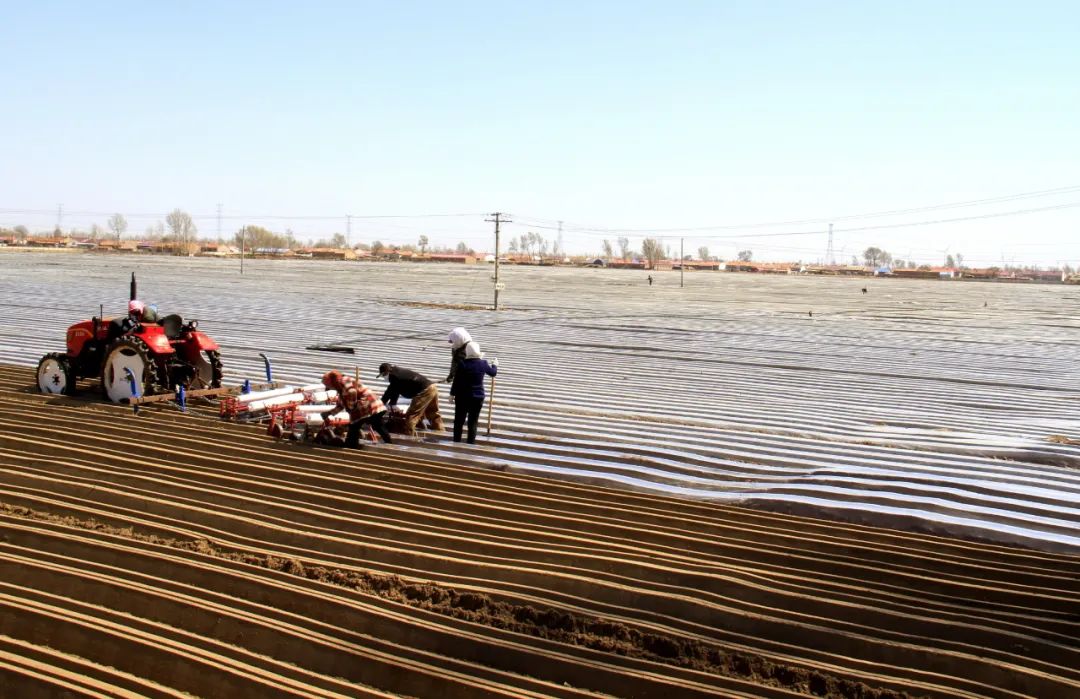 【旗县动态】奈曼旗、开鲁县、库伦旗