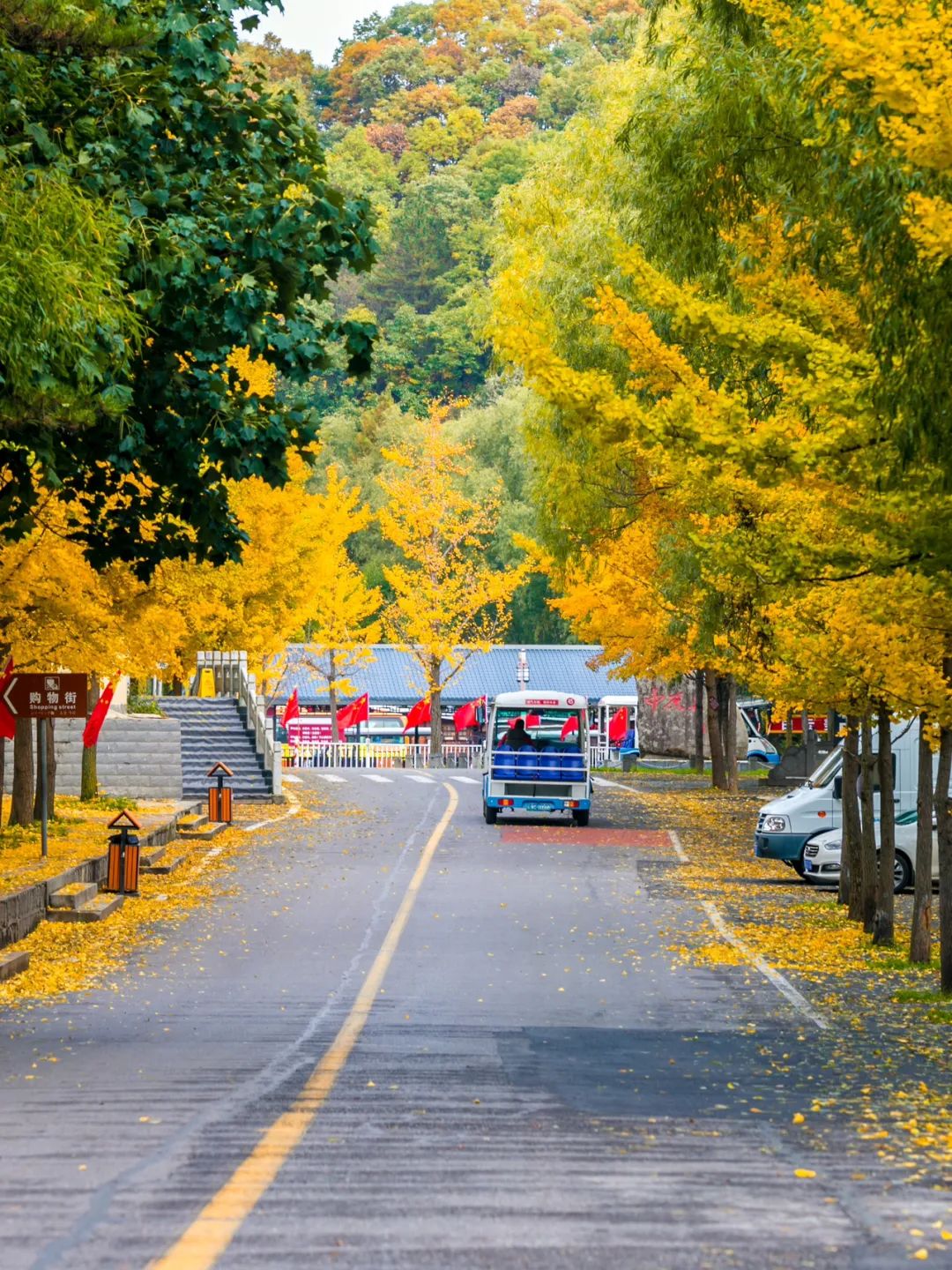 洛阳网红打卡地推荐,洛阳又一个网红打卡地