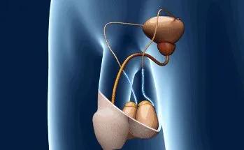 女生一定要知道正确的避孕方法,如何正确有效地避孕