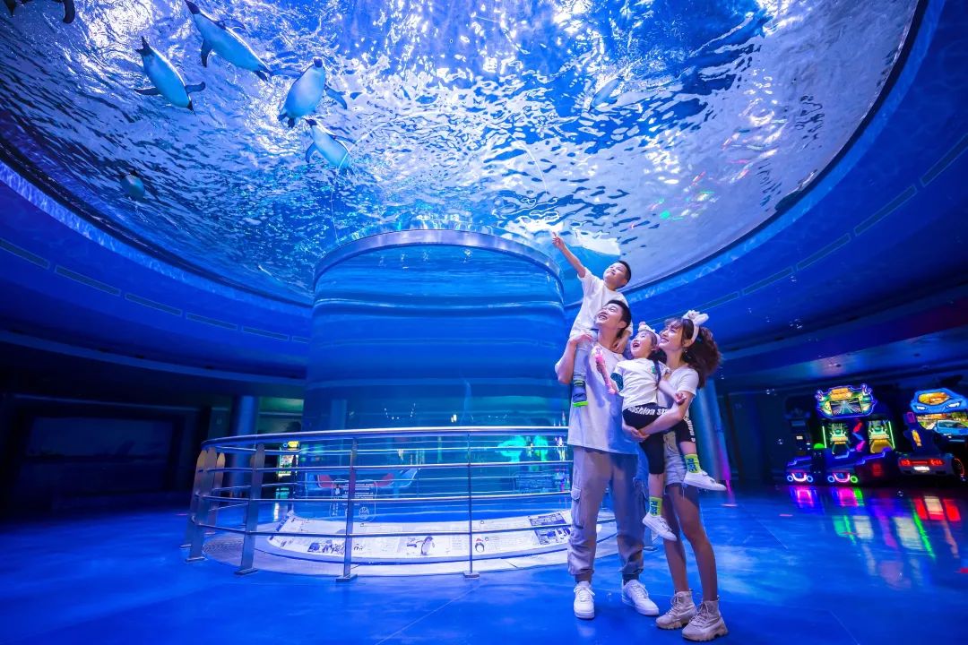 海昌游玩路线攻略,海昌门票攻略