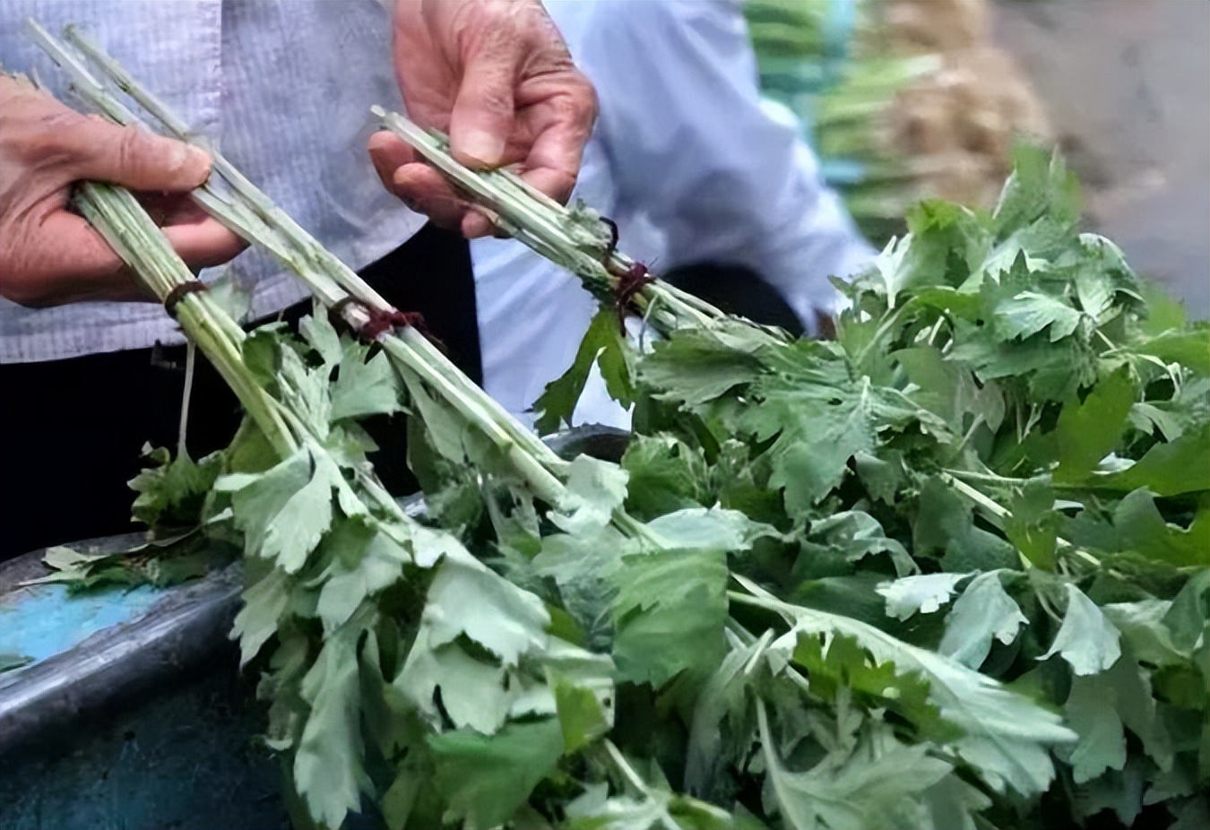 艾叶泡脚，坚持一个月后，身体会发生什么变化？值得尝试