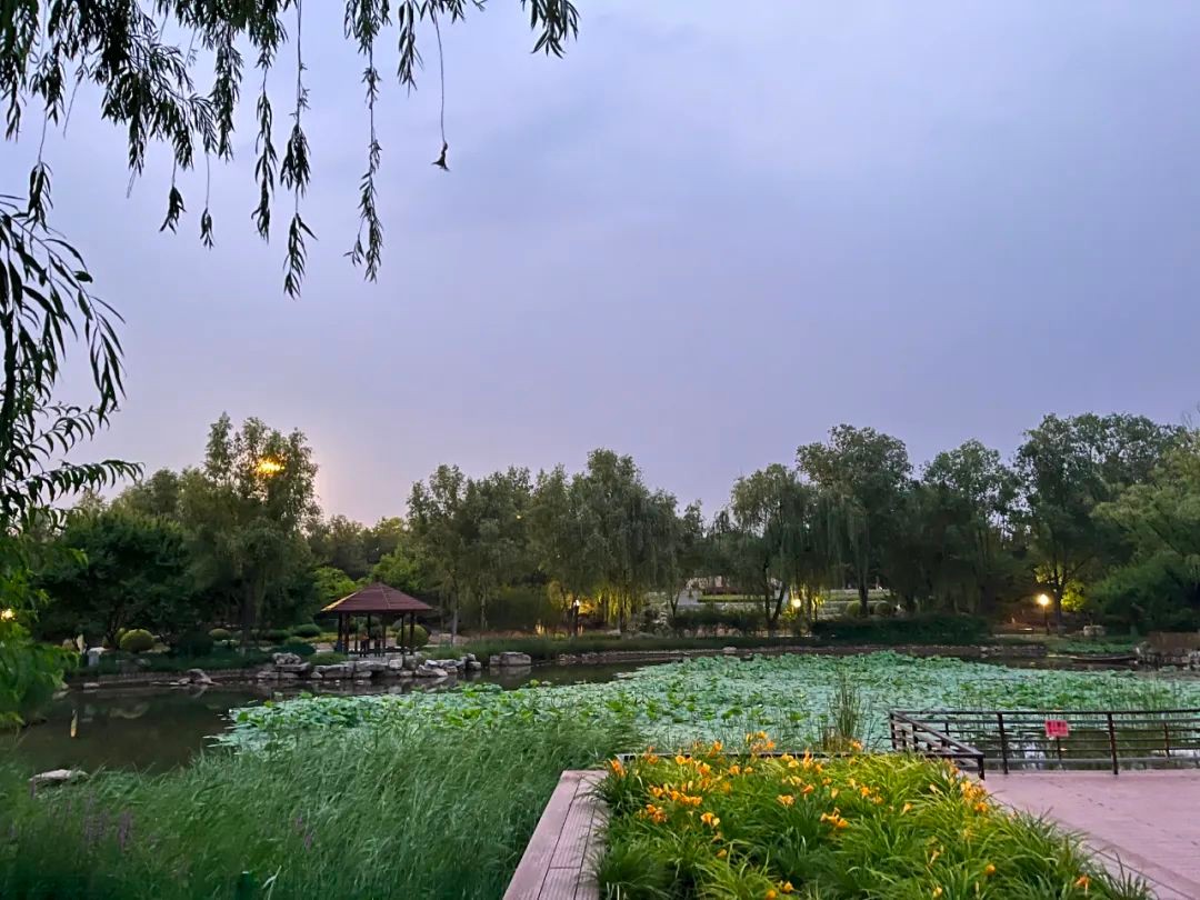 北京太阳公元学区房分析,朝阳太阳公元南区