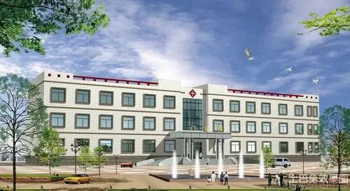 军医大学的存在与意义：为何需要专门的军事医学机构？