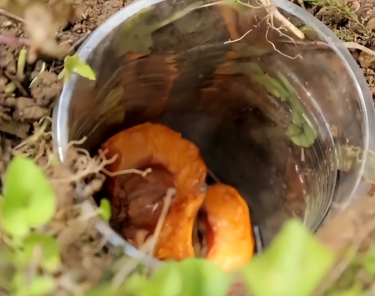 鍥涘窛鏉戞皯涓瘨,鍥涘窛鍐滄埛涓瘨