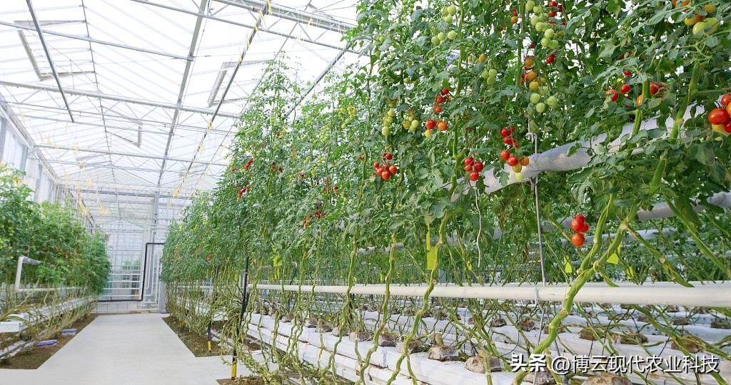 灌溉专用水肥一体机,一机多用好帮手