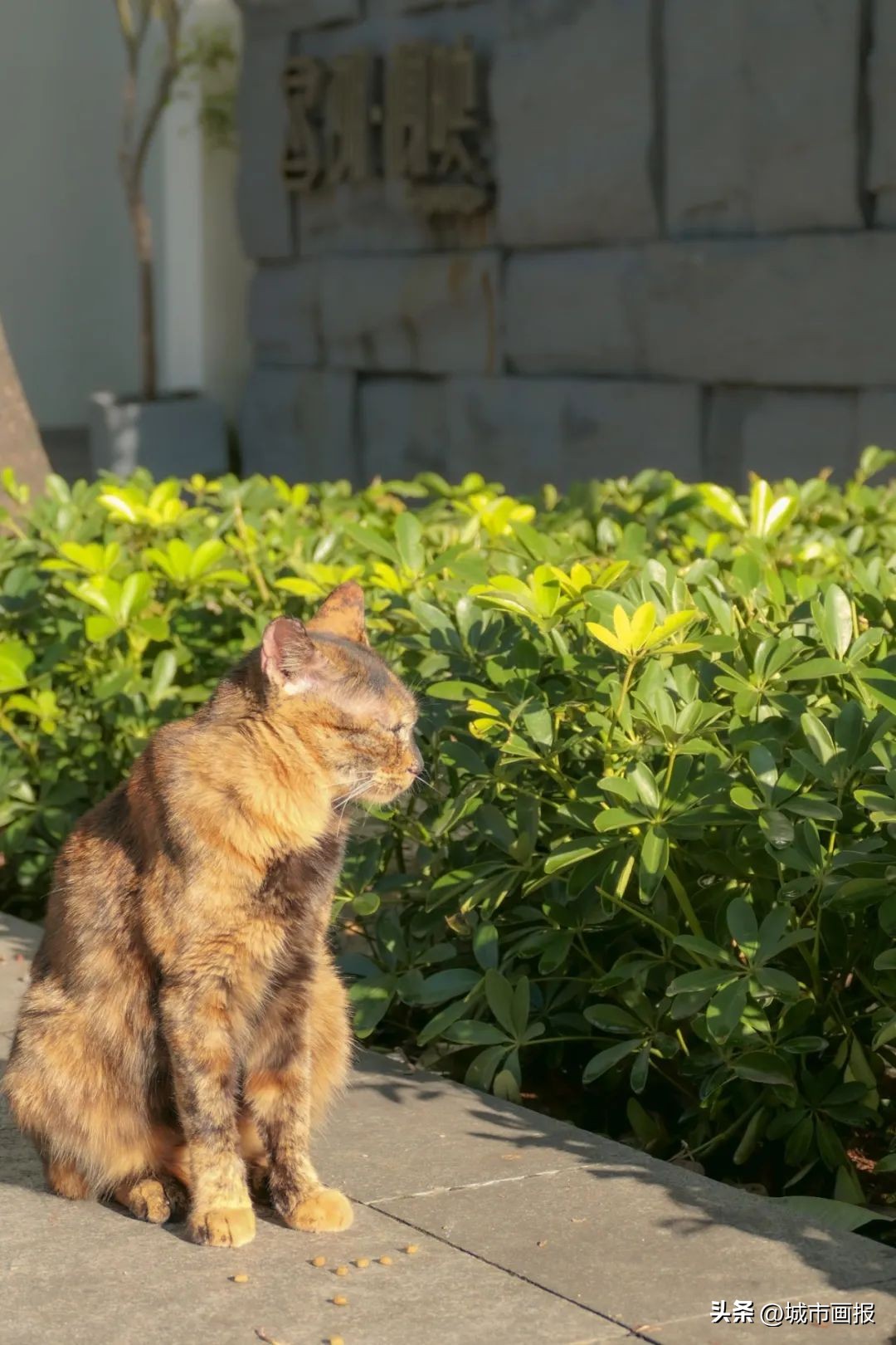 新年第一天，我去打卡一间森林里的美术馆