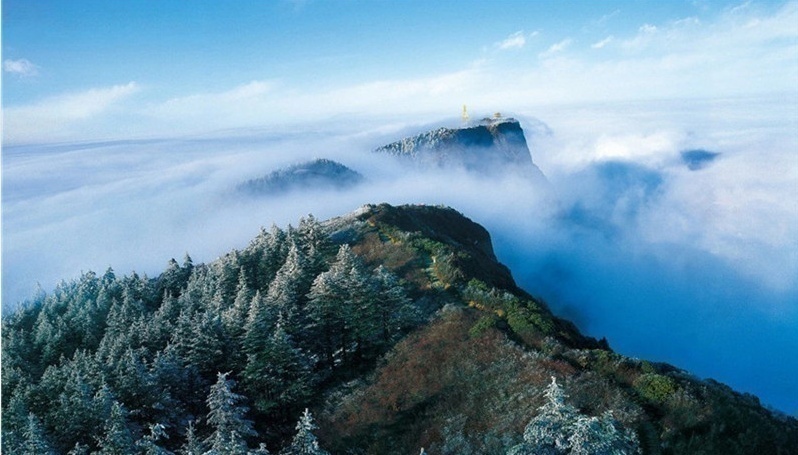 中茶绿茶新晋“成员”—峨眉雪芽，给你舌尖上的新享受