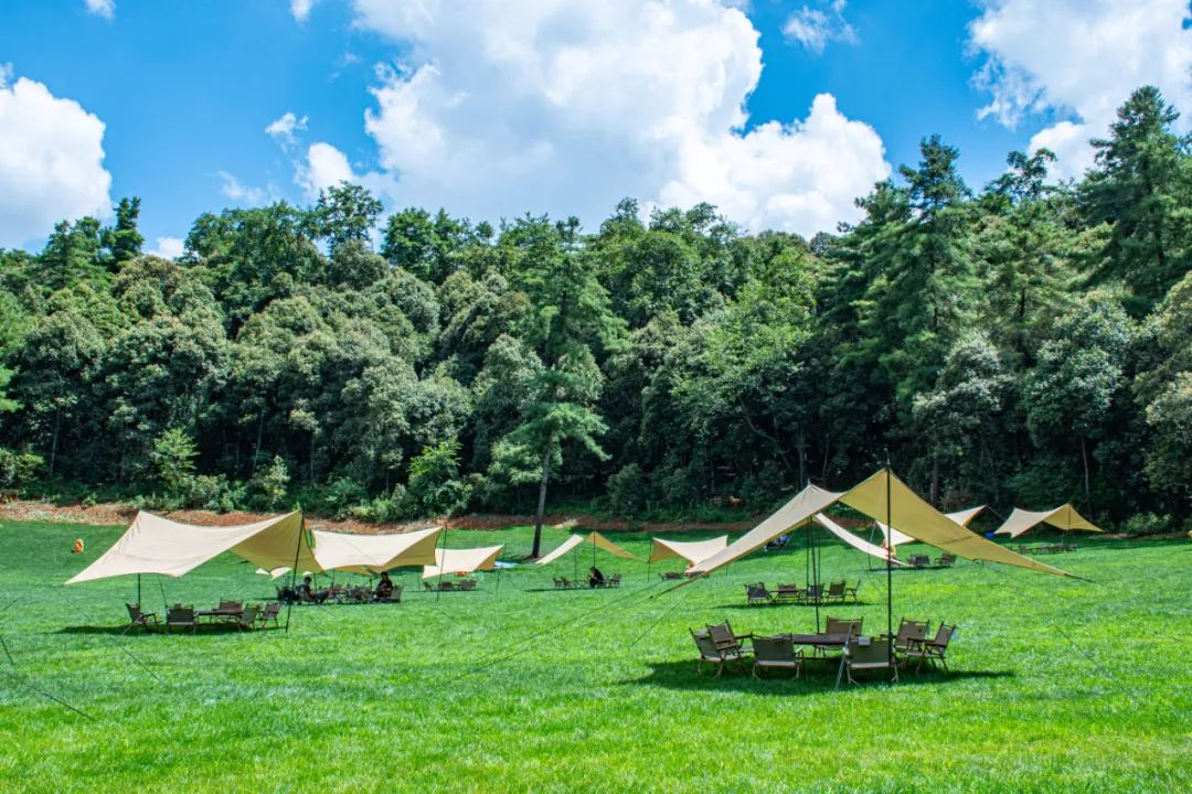 昆明旅游攻略一日游景点推荐理由,昆明旅游景点推荐一日游攻略图