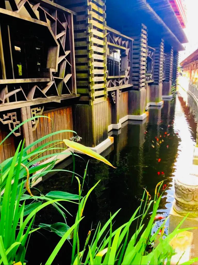 上海真如寺简介,上海真如寺方丈